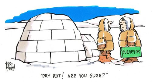 'Dry rot! Are you sure?'