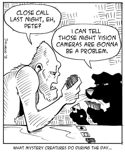What mystery creatures do during the day...