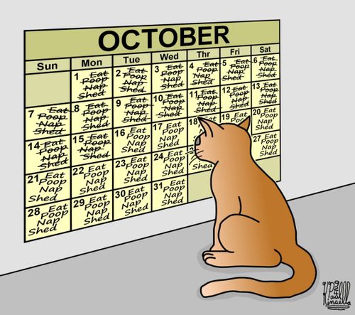 Cat's Calendar.