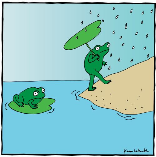 Frog Umbrella