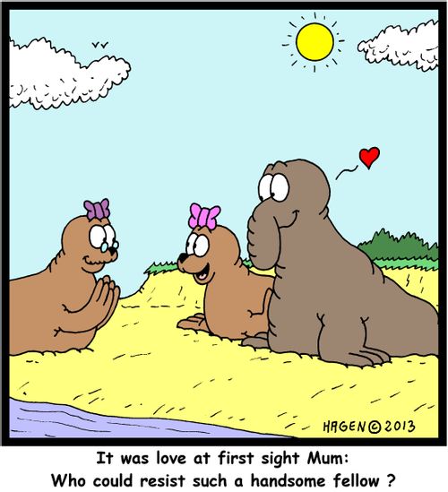 'It was love at first sight Mum: Who could resist such a handsome fellow ?'