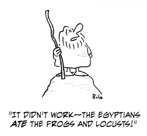 'It didn't work -- the Egyptians ate the frogs and locusts!'