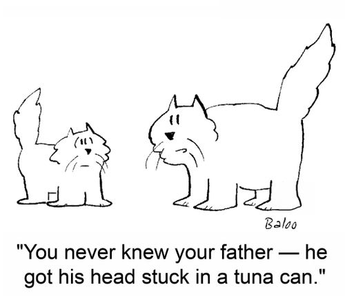 'You never knew your father -- he got his head stuck in a tuna can.'