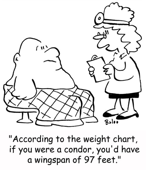 'According to the weight chart, if you were a condor, you'd have a wingspan of 97 feet.'