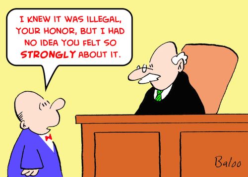 'I knew it was illegal, Your Honor, but I had no idea you felt so strongly about it.'