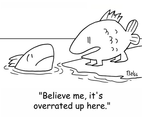 'Believe me, it's overrated up here.'