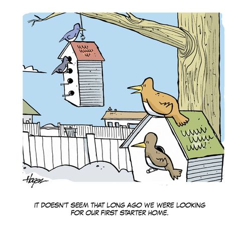 Starter Homes
