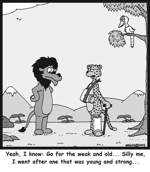 'Yeah, I know: Go for the weak and old... Silly me, I went after one that was young and strong...'