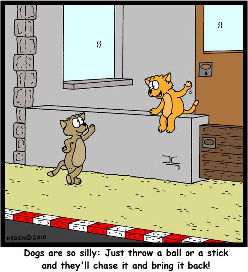 'Dogs are so silly: Just throw a ball or a stick and they'll chase it and bring it back!'