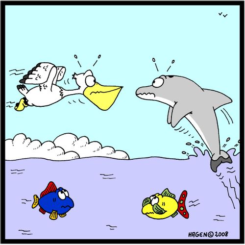 Air Collision.