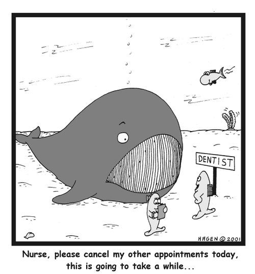 Nurse, please cancel my other appointments today, this is going to take a while...