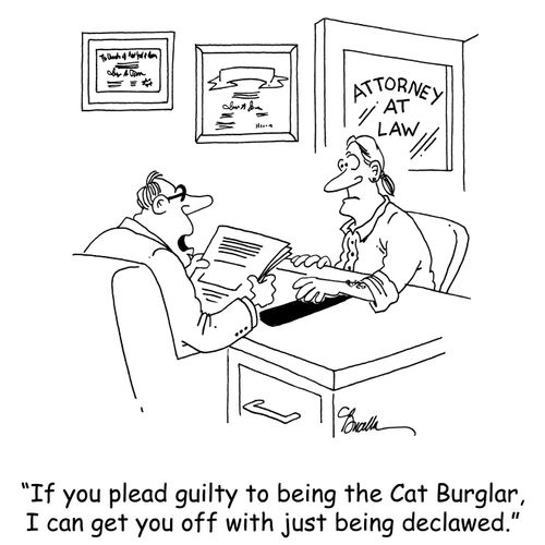 'If you plead guilty to being the Cat Burglar, I can get you off with just being declawed.'