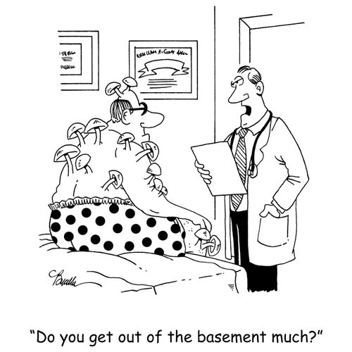 'Do you get out of the basement much?'