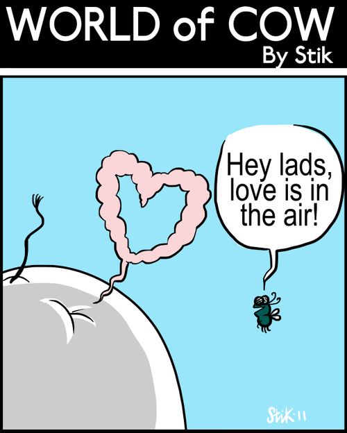 Hey lads, love is in the air!
