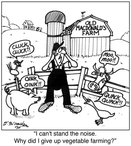 'I can't stand the noise. Why did I give up vegetable farming?'