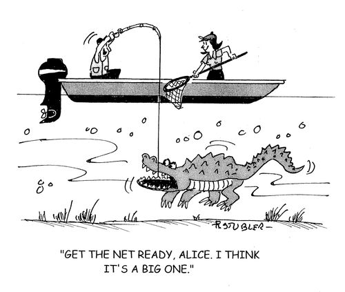 'Get the net ready, Alice. I think it's a big one.'