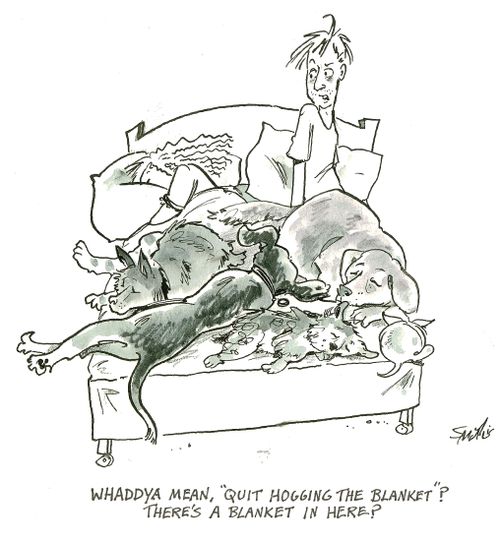'Whaddya mean, 'Quit hogging the blanket'? There's a blanket in here?