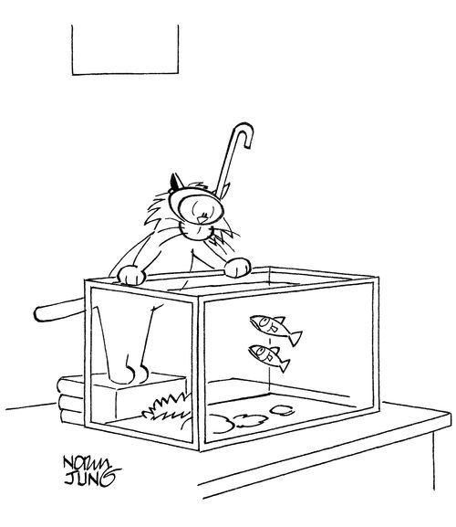 Cat dons scuba gear to go after fish in aquarium.