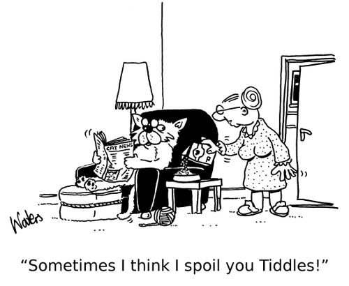 'Sometimes I think I spoil you Tiddles!'