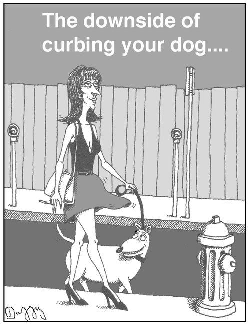 The downside of curbing your dog....