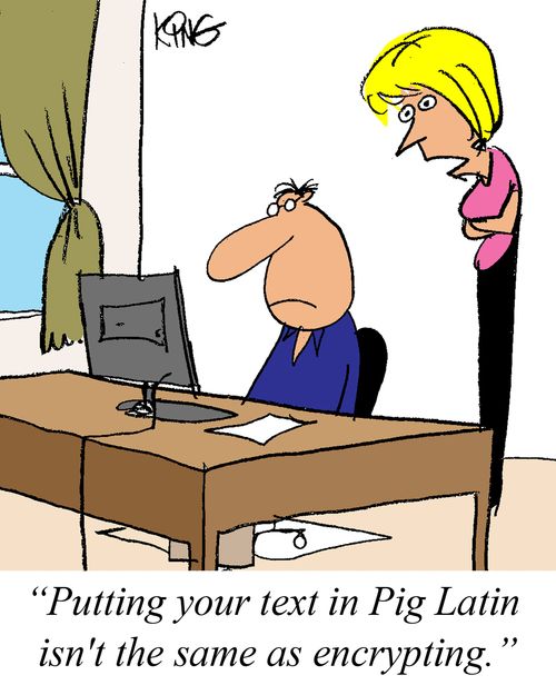 'Putting your text in Pig Latin isn't the same as encrypting.'