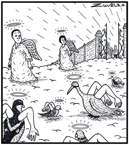 Two new human members to Heaven surprised to see that the birds in Heaven have arms as their wings.