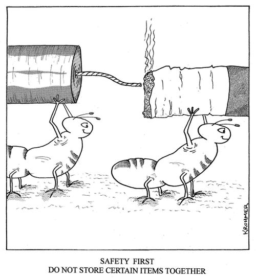 Safety first - do not store certain items together.