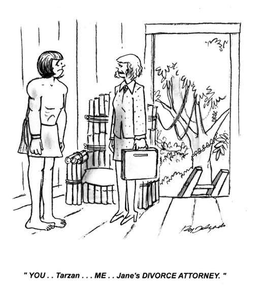 'You... Tarzan... Me... Jane's divorce attorney.'