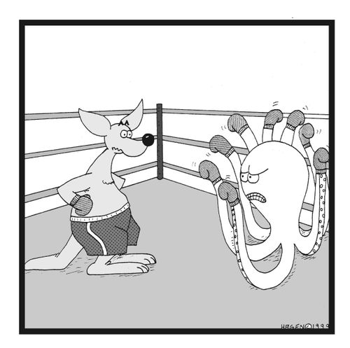 Octopus and Kangaroo face-off