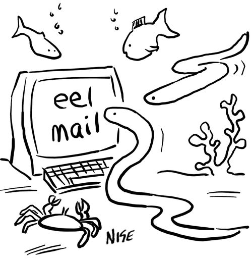 Eel-mail