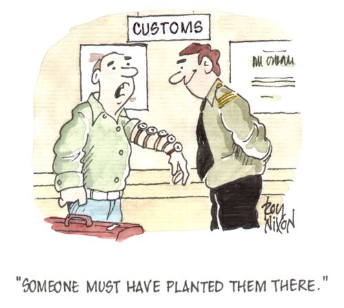 "Someone must have planted them there."