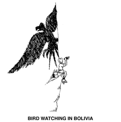 Bird watching in Bolivia