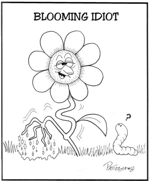 Blooming Idiot