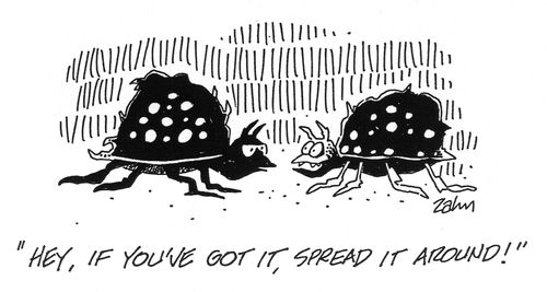 'Hey, if you've got it, spread it around!'