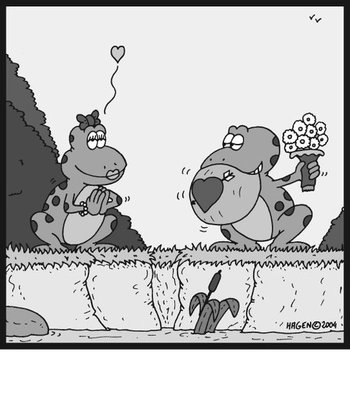 Frog flirting.