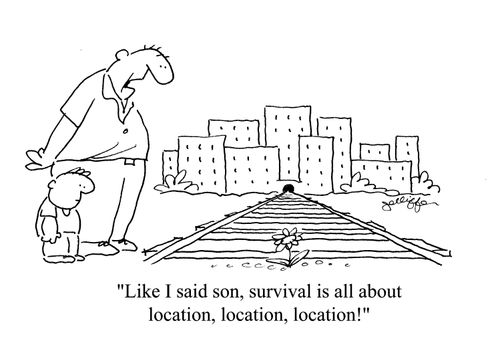 'Like I said son, survival is all about location, location, location!'