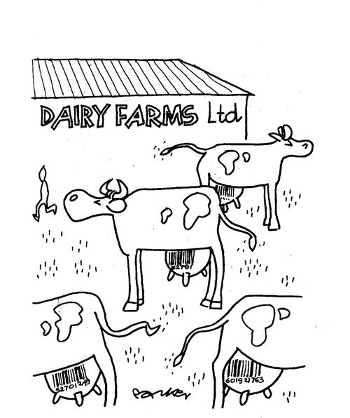 Bar Code Cows.