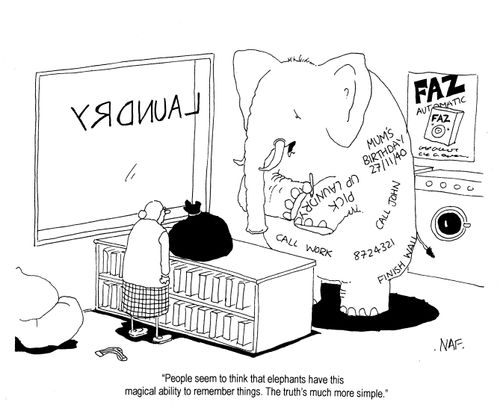 'People seem to think that elephants have this magical ability to remember things.  The truth's much more simple.'