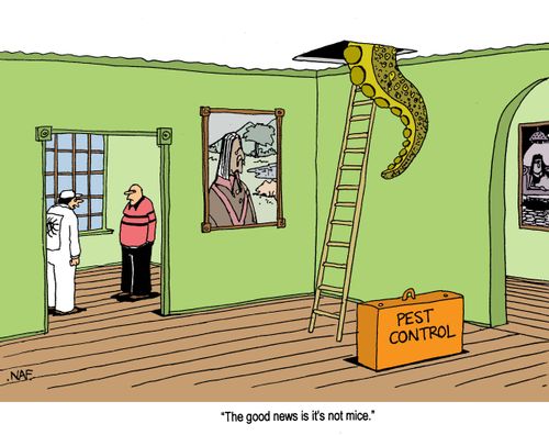 'The good news is it's not mice.'
