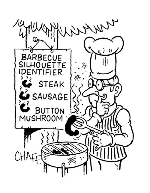 Barbeque Silhoutte Identifier,