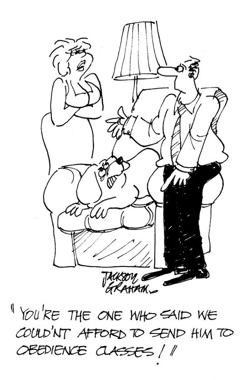 "You're the on who said we couldn't afford to send him to obedience classes!"