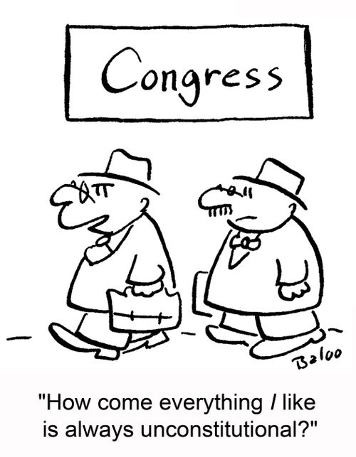 'How come everything I like is always unconstitutional?'