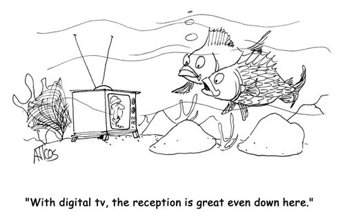 'With digital tv, the reception is great even down here.'