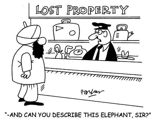 '-and can you describe this elephant,sir?'