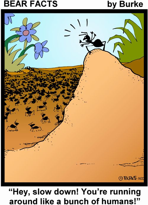 'Hey, slow down! You're running around like a bunch of humans!'