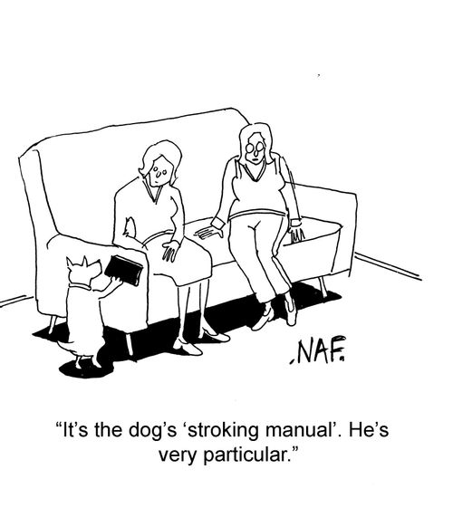 'It's the dog's 'stroking manual'. He's very particular.'