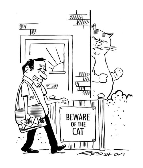 Beware of the Cat