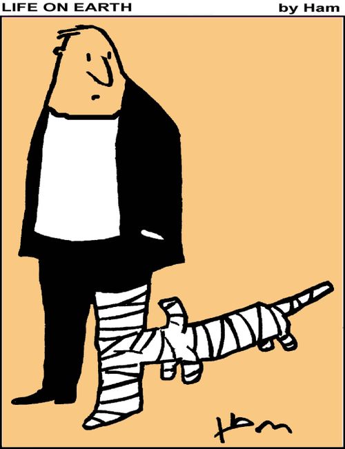 Life on Earth - dog bandage.