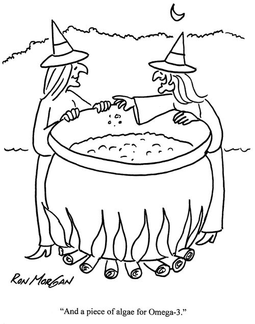 'And a piece of algae for Omega 3.'