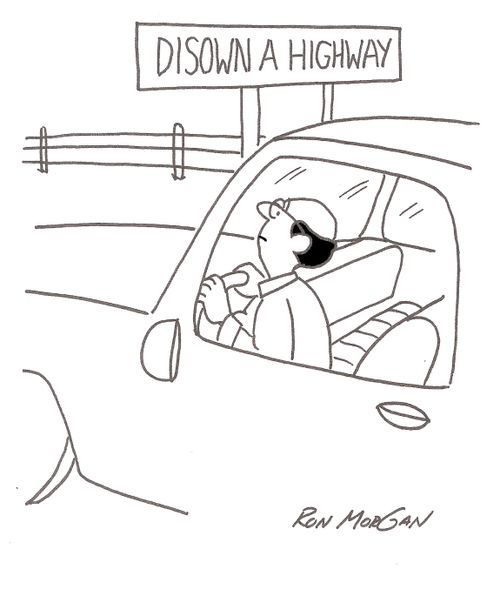 Motorist sees street sign: Disown A Highway.